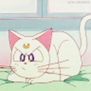 Meet your Posher, Eli